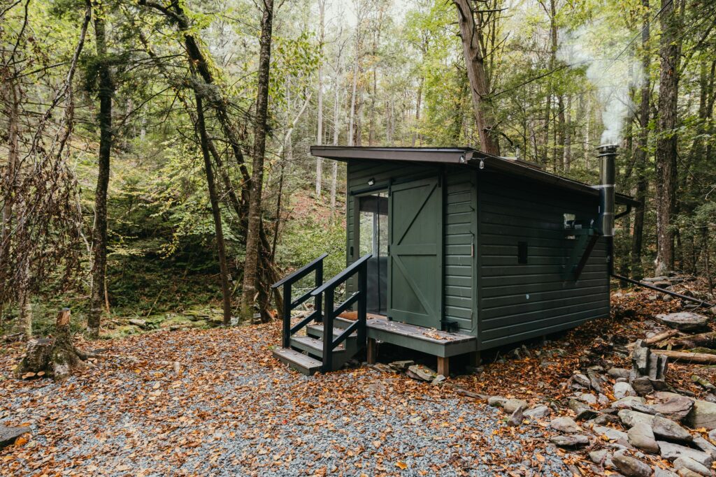 Modern green cabin featured in the latest tiny house news surrounded by forest landscape
